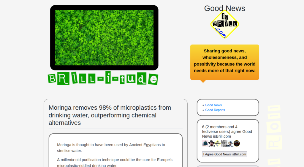 Screenshot of the good enws is brill site