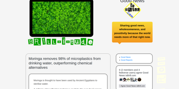 Screenshot of the good enws is brill site